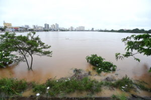 transbordo